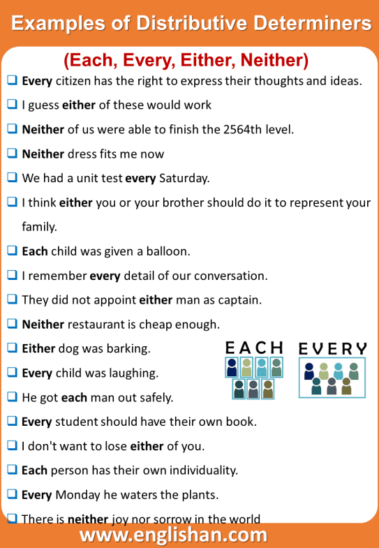 Determiners And Its Types With Examples Englishan