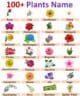 100 Plants Names In English With Pictures Englishan