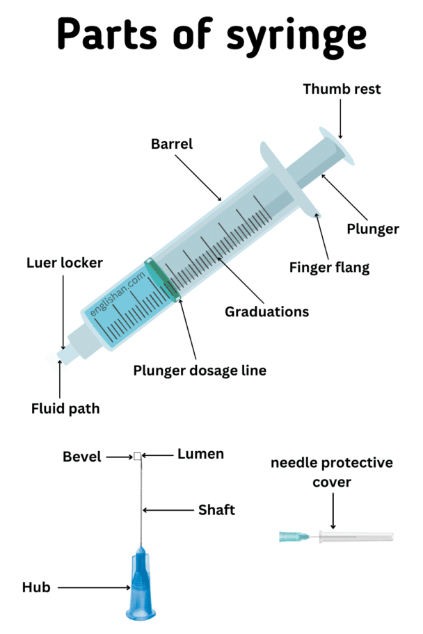 Parts Of Syringe And Their Functions Englishan