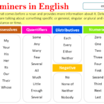 Determiners in English Grammar - Types and Usage