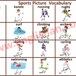 100 Useful List of Sports Vocabulary Words with Pictures