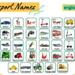 100 Transport Names with Their Pictures – Complete List