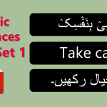 English Sentences of Daily Use with Urdu Arabic & with PDF - SET 1