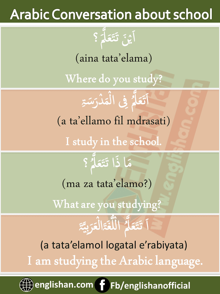 Arabic English Conversation about school and studies with PDF