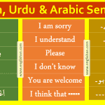 Basic Arabic Conversation with English Translation