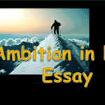 Ambition in life