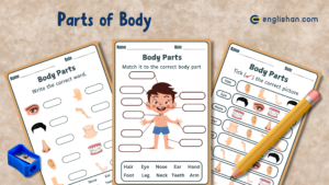 7 Free Printable Body Parts Worksheets