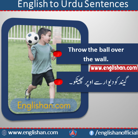 Translate Urdu Sentences into English with PDF