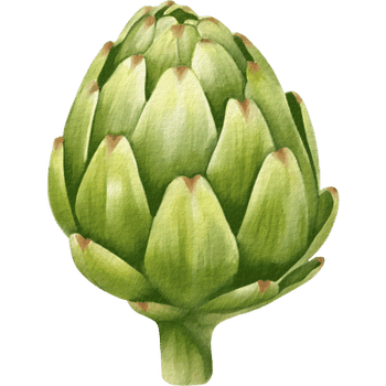 Artichoke