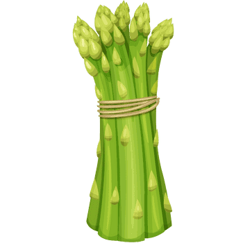 Asparagus