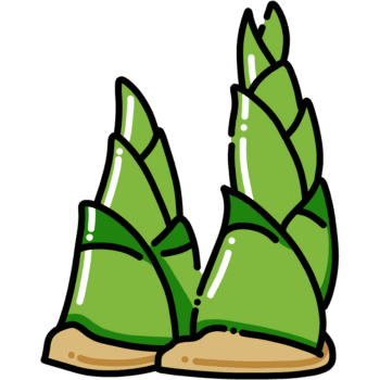 Bamboo Shoots