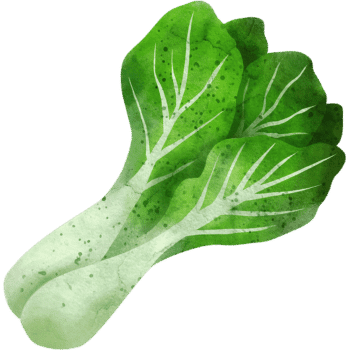 Bok Choy