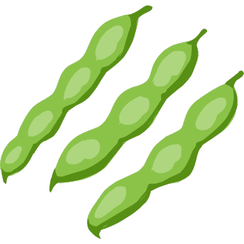 Broad Beans