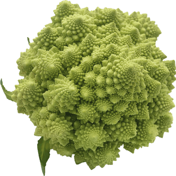Broccoflower