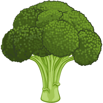Broccoli-Learn Vegetables Names