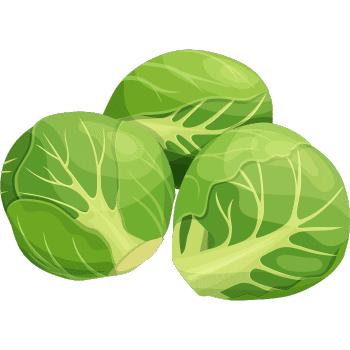 Brussels Sprouts