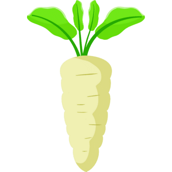 Daikon