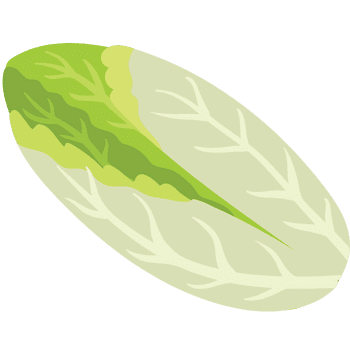 Endive