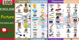 List of 100 English Picture Vocabulary Words with Their Pictures