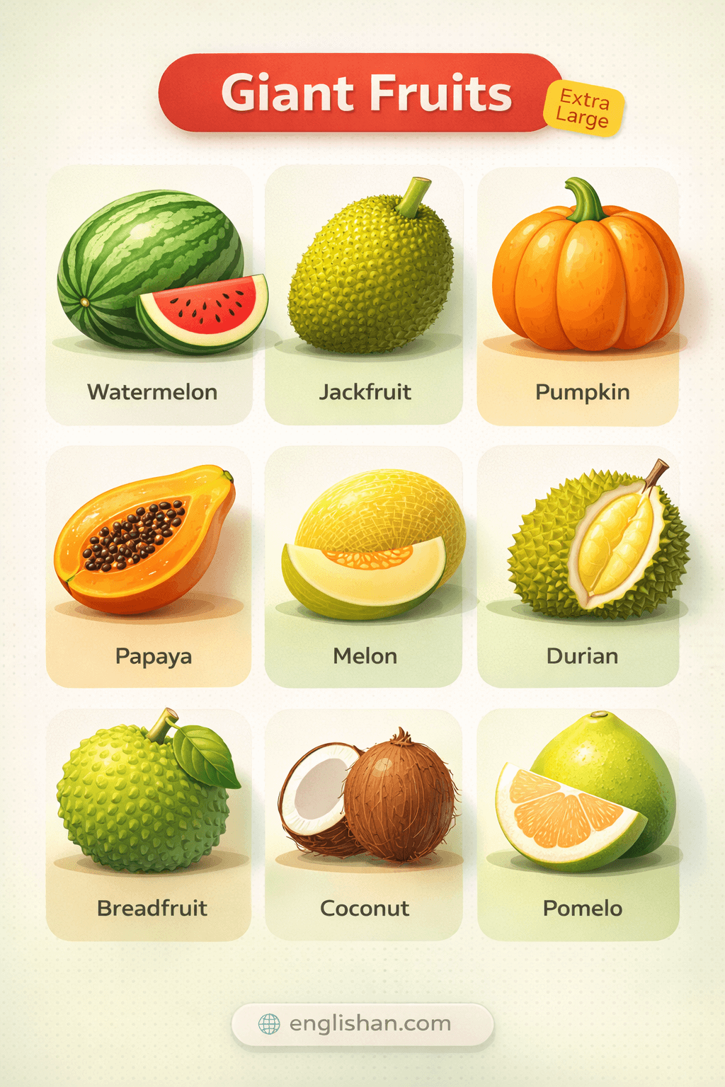 Giant Fruits Names in English with Their Pictures
