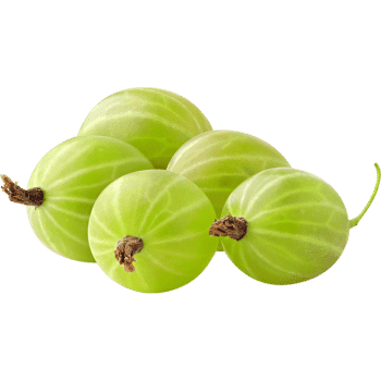 Gooseberry