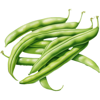Green Beans-Learn Vegetables Names