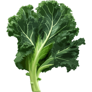 Kale
