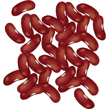 Kidney Beans