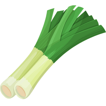 Leek-Learn Vegetables Names
