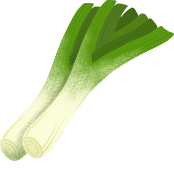 Leek
