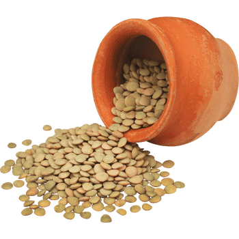 Lentils