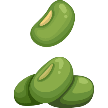 Mung Beans-Learn Vegetables Names