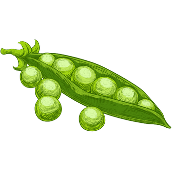Peas