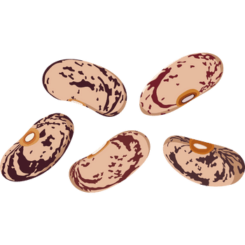 Pinto Beans