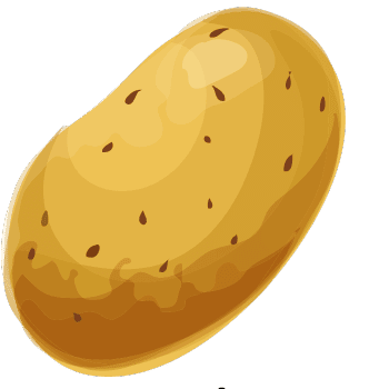 Potato