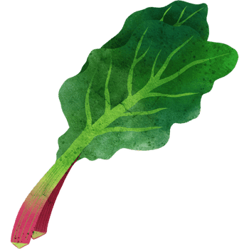 Rhubarb