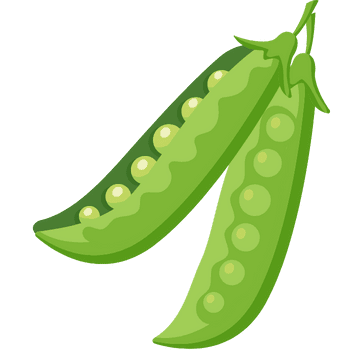 Snow Peas