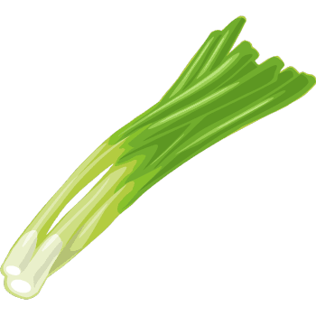 Spring Onion-Learn Vegetables Names