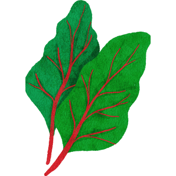 Swiss Chard
