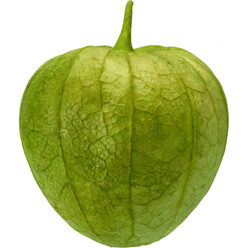 Tomatillo