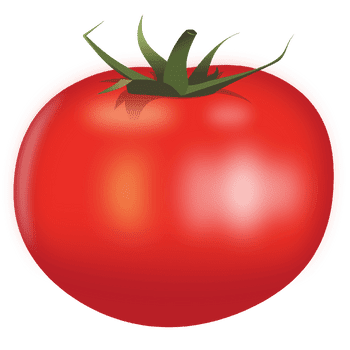 Tomato-Learn Vegetables Names