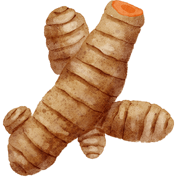 Turmeric-Learn Vegetables Names