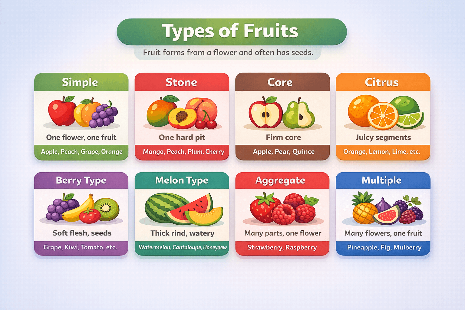 Types of Fruits and their examples