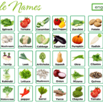 100 Vegetables Names with Their Pictures (Complete List)