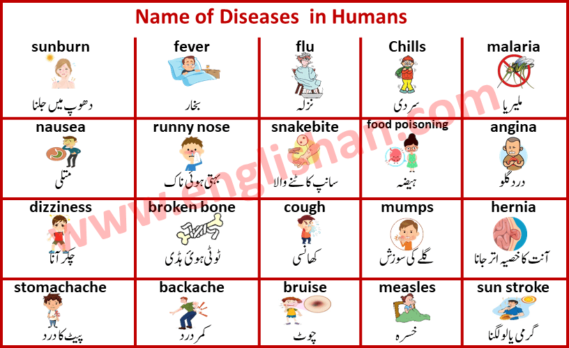 Name of Diseases in Humans in Urdu