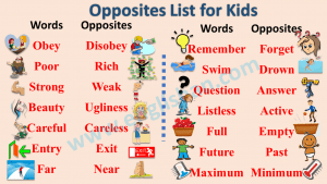 Opposite Words: 400+ Comprehensive Antonyms List