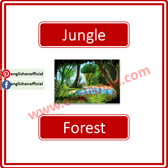 Related Words for Student