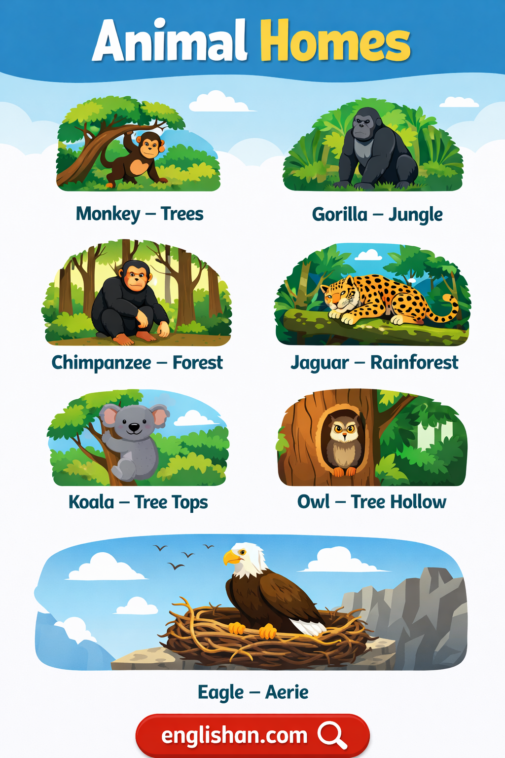Animal Homes That Live in Trees Card with Their Pictures