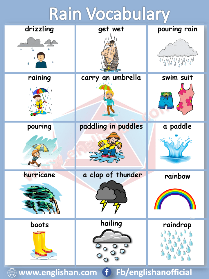 Rain Vocabulary List