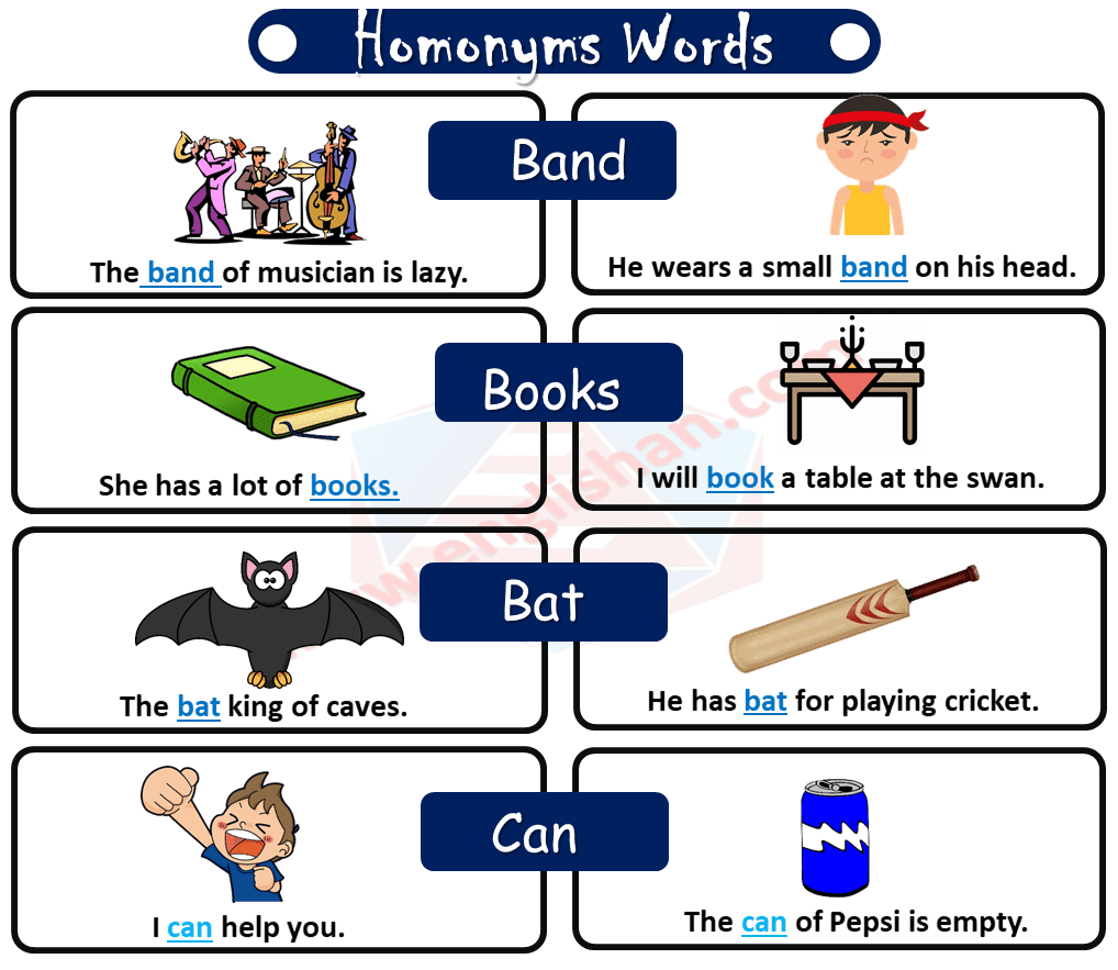 100 Examples of Homonyms with Sentences